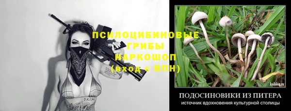 Альфа ПВП Аркадак