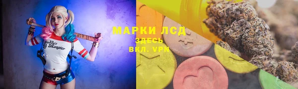 Альфа ПВП Аркадак